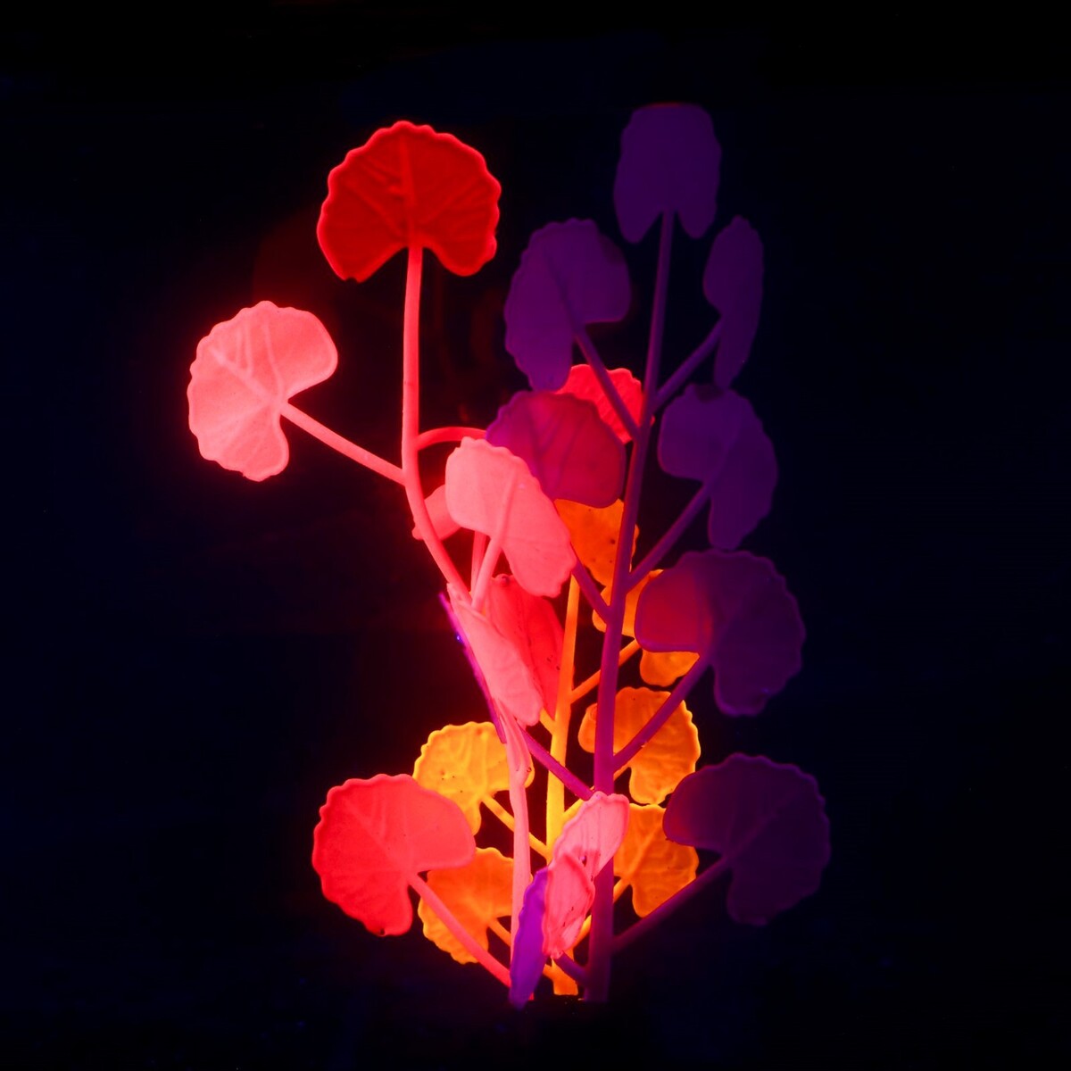 Растение силиконовое аквариумное, светящееся в темноте, 8 х 19 см, разноцветное No brand 01059219 - фото 2