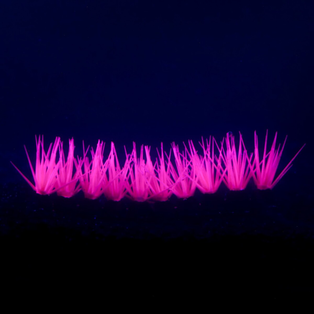 Растение силиконовое аквариумное, светящееся в темноте, 17,5 х 4,5 см, фиолетовое No brand 01059223 - фото 2