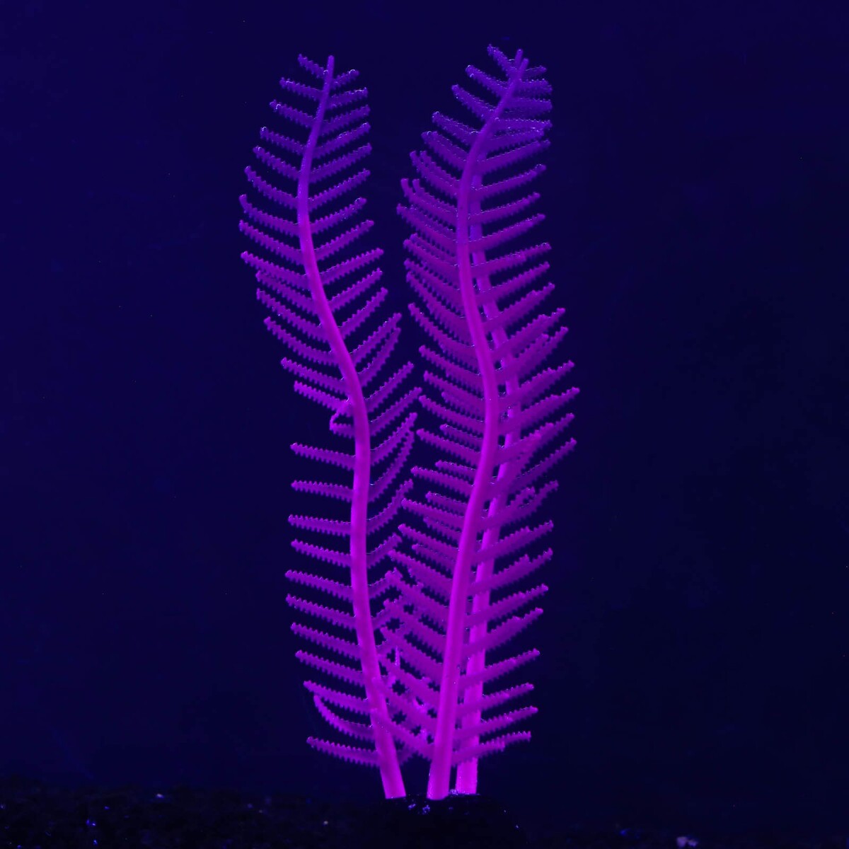 Растение силиконовое аквариумное, светящееся в темноте, 4,5 х 15 см, фиолетовое No brand 01059237 - фото 2