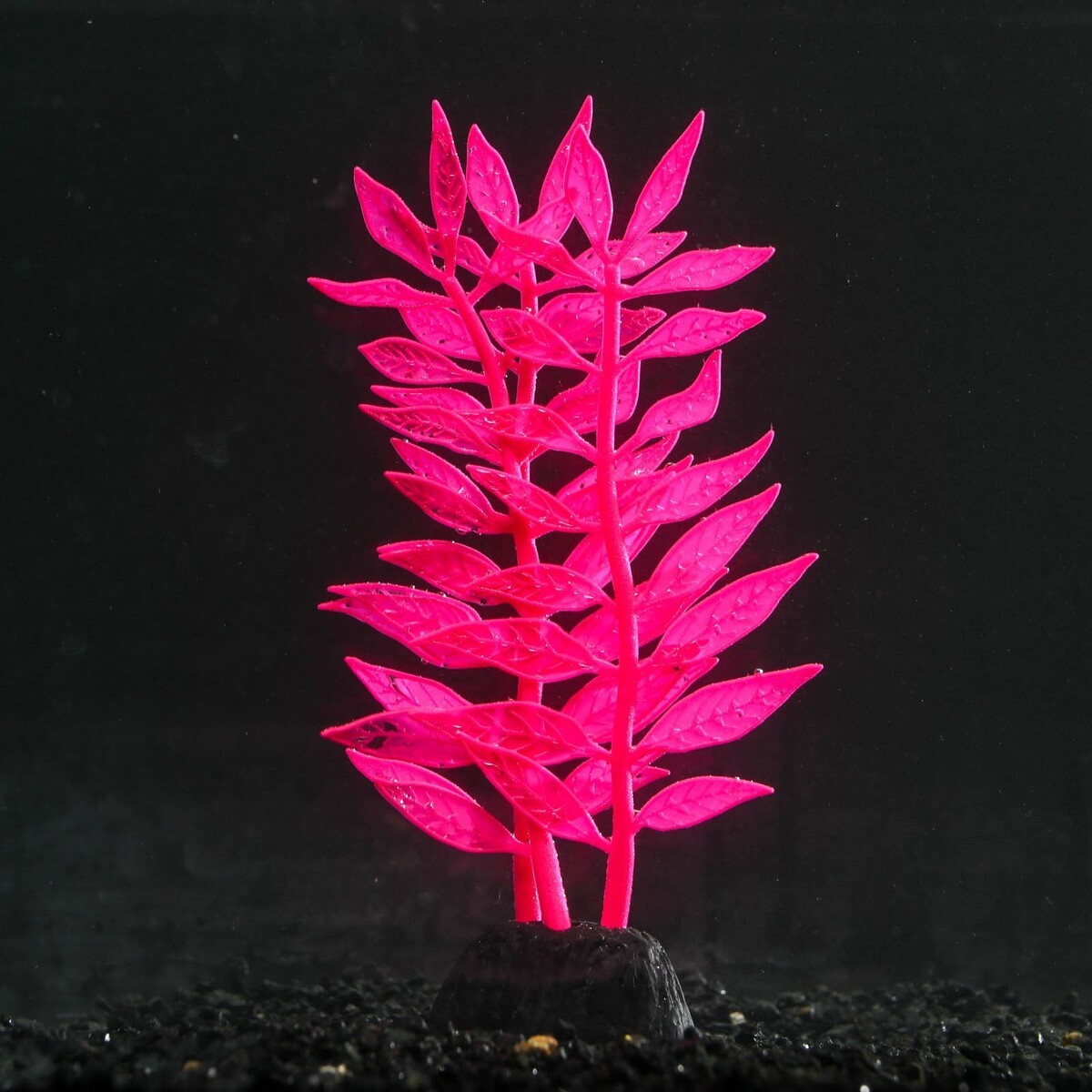 Растение силиконовое аквариумное, светящееся в темноте, 8 х 15 см, розовое No brand