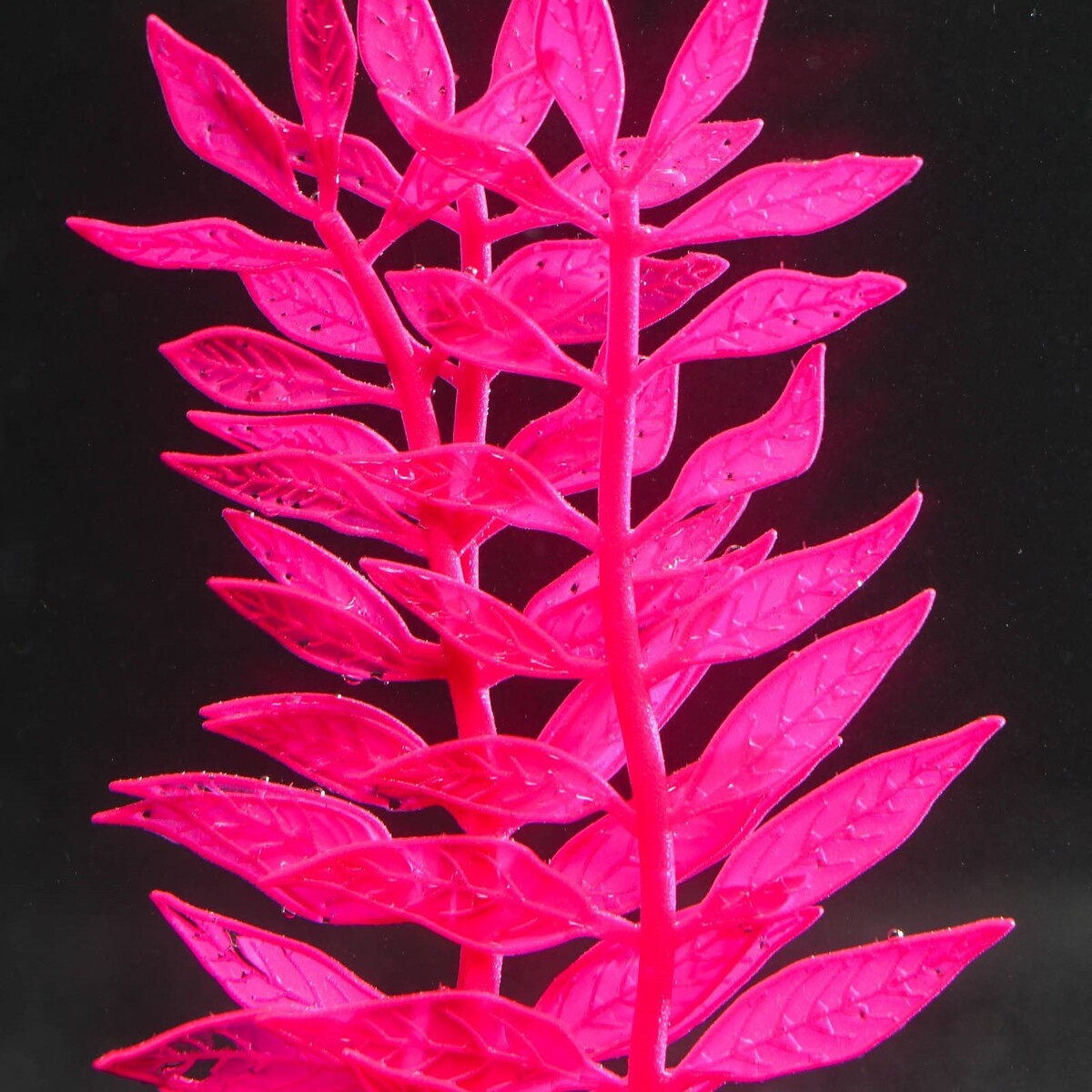 фото Растение силиконовое аквариумное, светящееся в темноте, 8 х 15 см, розовое no brand