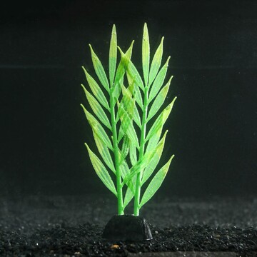 Растение силиконовое аквариумное, светящ