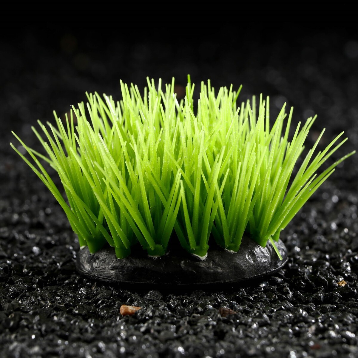 Растение силиконовое аквариумное, светящееся в темноте, 6,5 х 6,5 см, зелёное