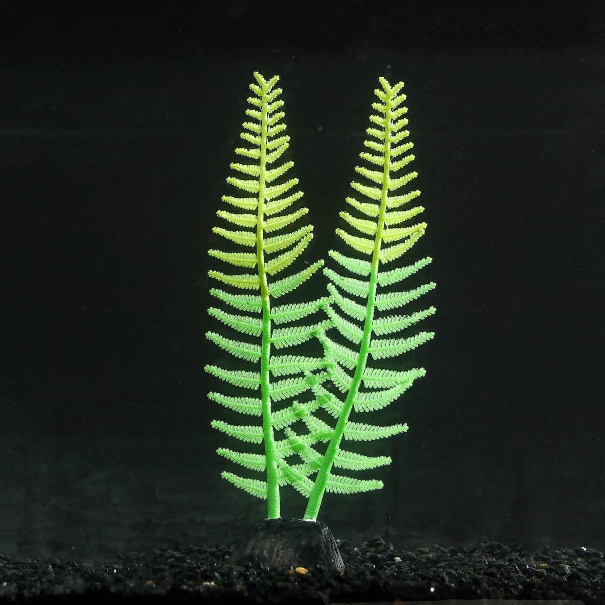 Растение силиконовое аквариумное, светящееся в темноте, 8 х 23 см, зелёное No brand 01059243 - фото 1