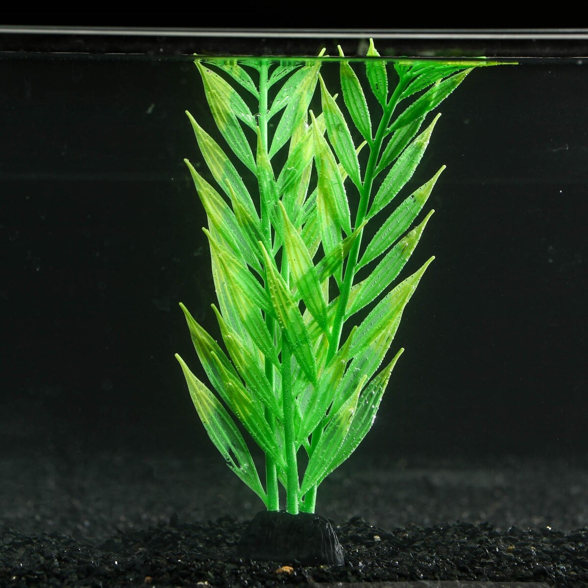 Растение силиконовое аквариумное, светящееся в темноте, 8 х 24 см, зелёное No brand 01059246 - фото 1