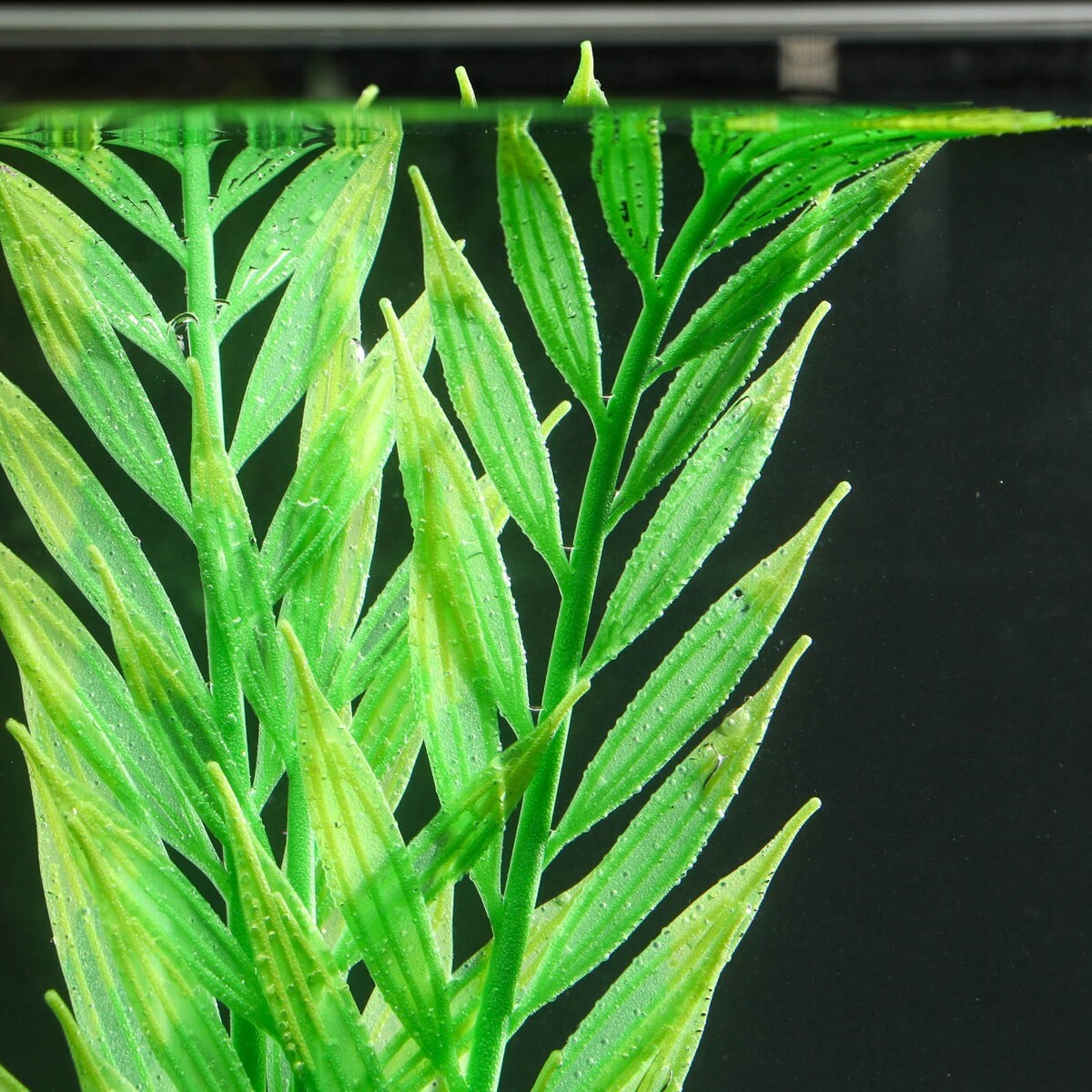 Растение силиконовое аквариумное, светящееся в темноте, 8 х 24 см, зелёное No brand 01059246 - фото 3