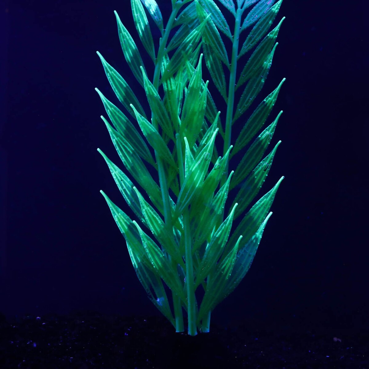 Растение силиконовое аквариумное, светящееся в темноте, 8 х 24 см, зелёное No brand 01059246 - фото 2