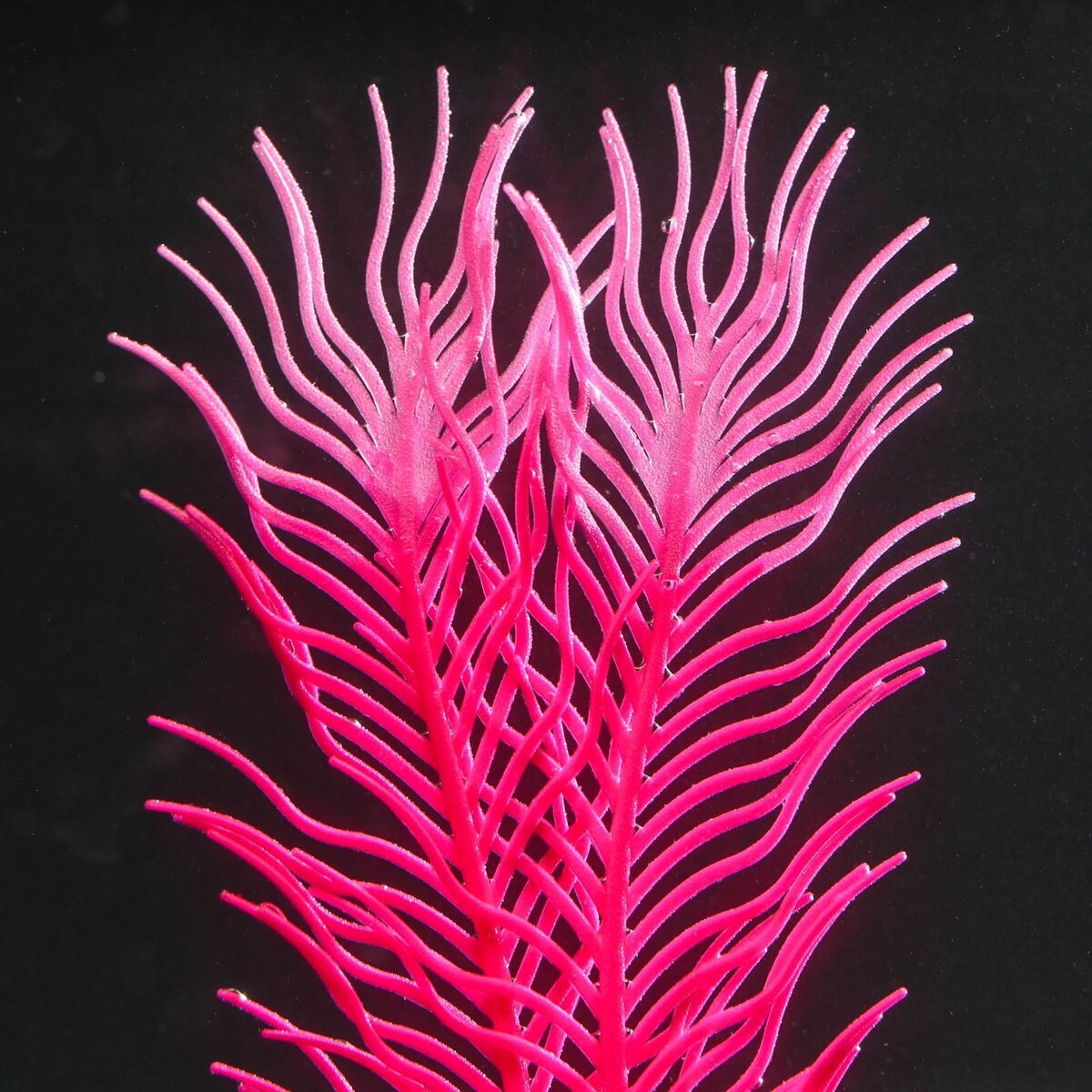 Растение силиконовое аквариумное, светящееся в темноте, 6,5 х 18 см, розовое No brand 01059269 - фото 3
