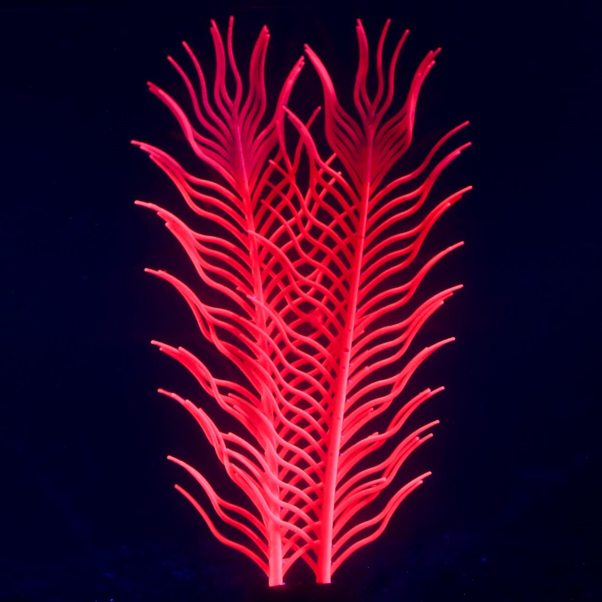Растение силиконовое аквариумное, светящееся в темноте, 6,5 х 18 см, розовое No brand 01059269 - фото 2
