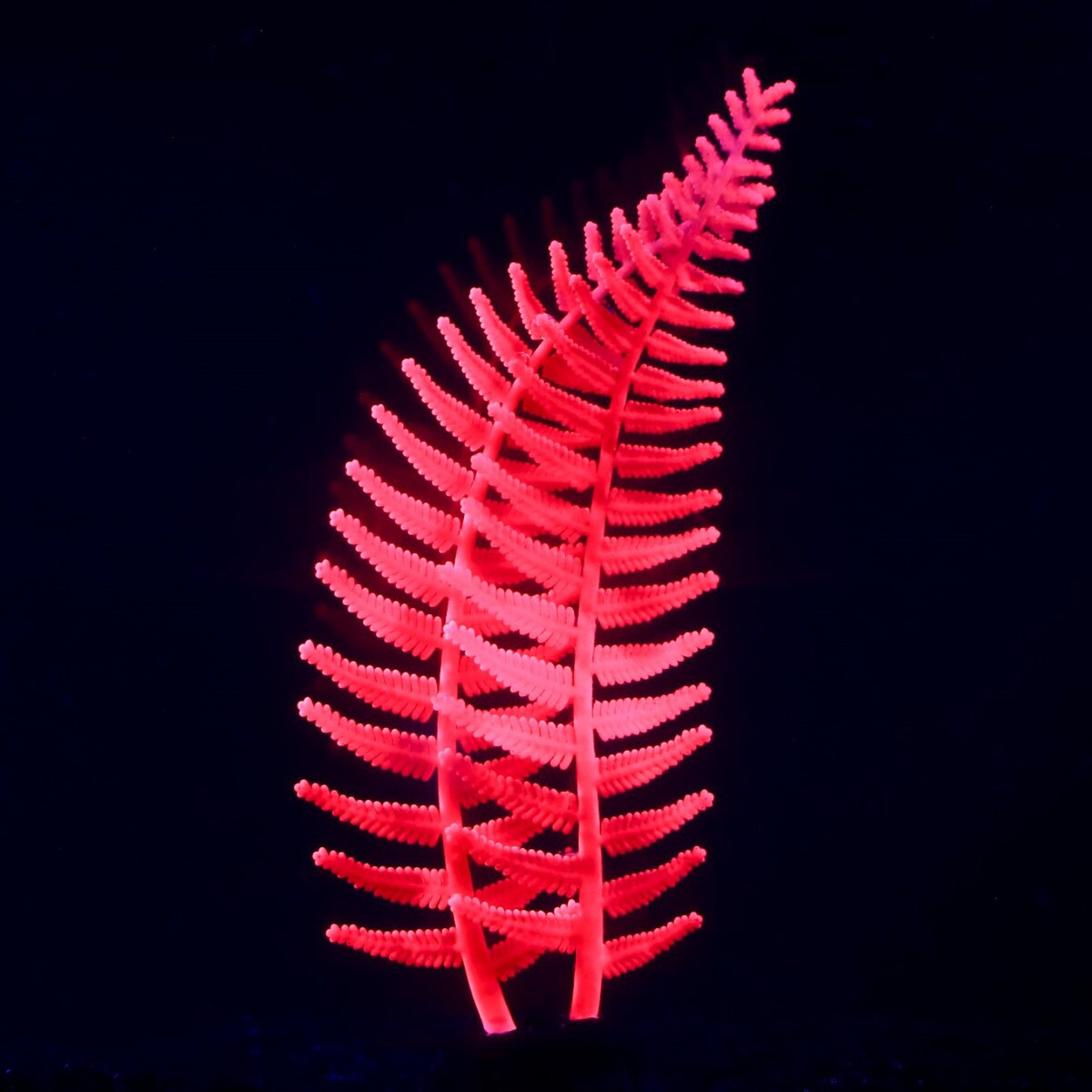 Растение силиконовое аквариумное, светящееся в темноте, 8 х 23 см, розовое No brand 01059275 - фото 2