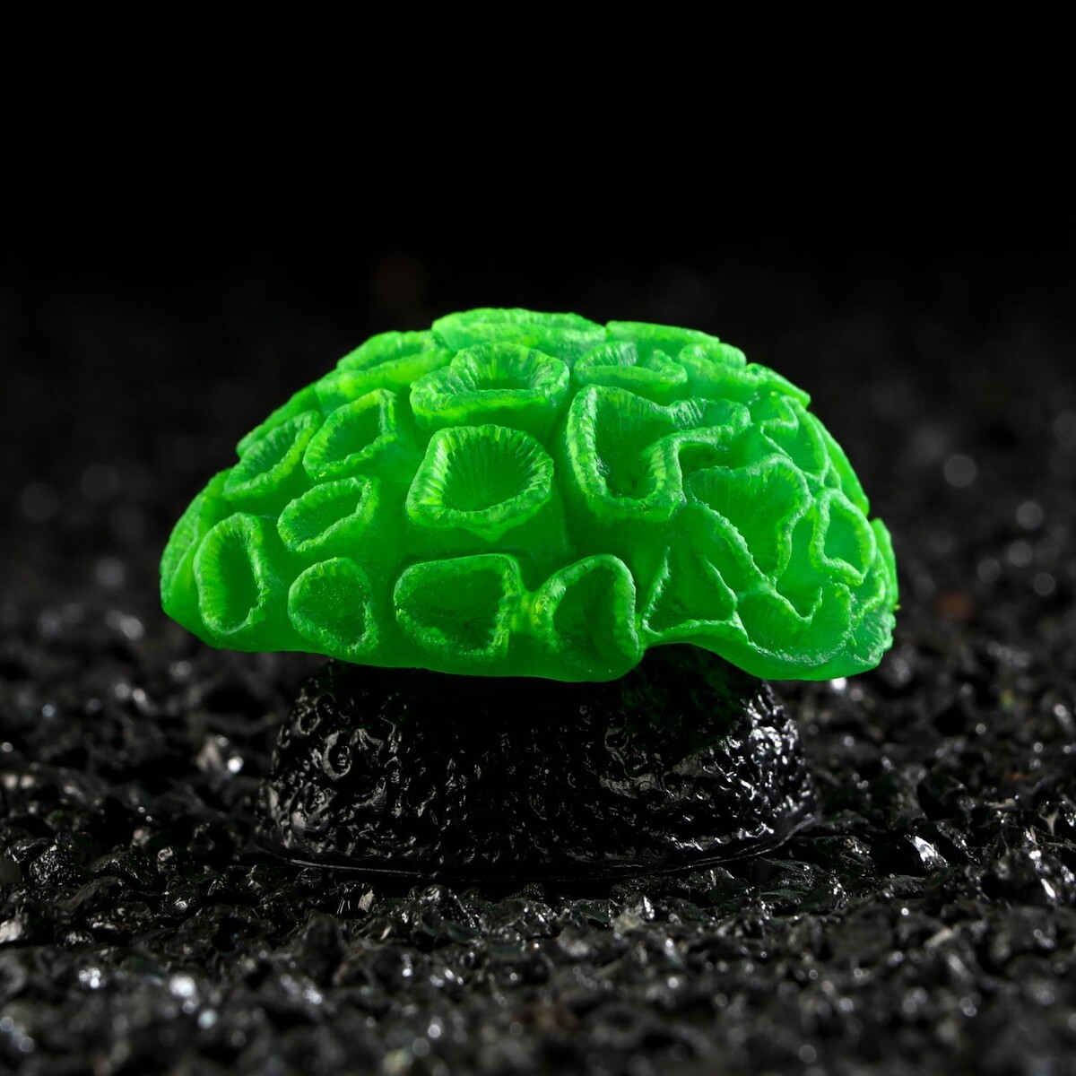 Декор для аквариума коралл faviidae, 5 х 2,5 см, силиконовый, зелёный No brand 01059278 - фото 1