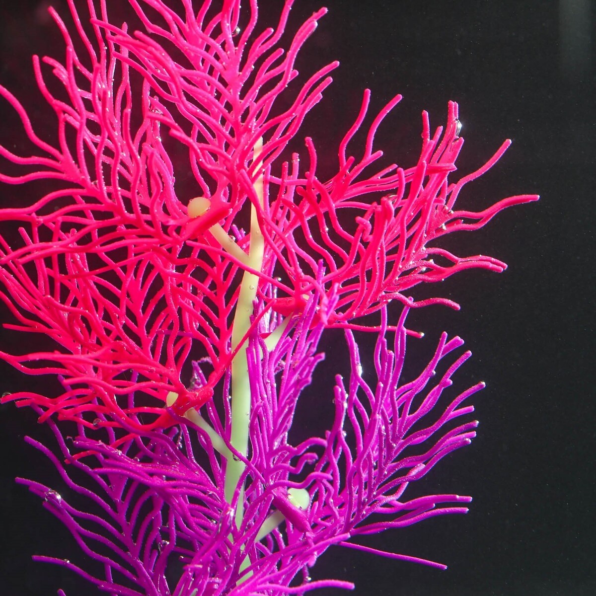 Растение силиконовое аквариумное, светящееся в темноте, 9,5 х 30 см, красно-фиолетовое No brand 01059279 - фото 3