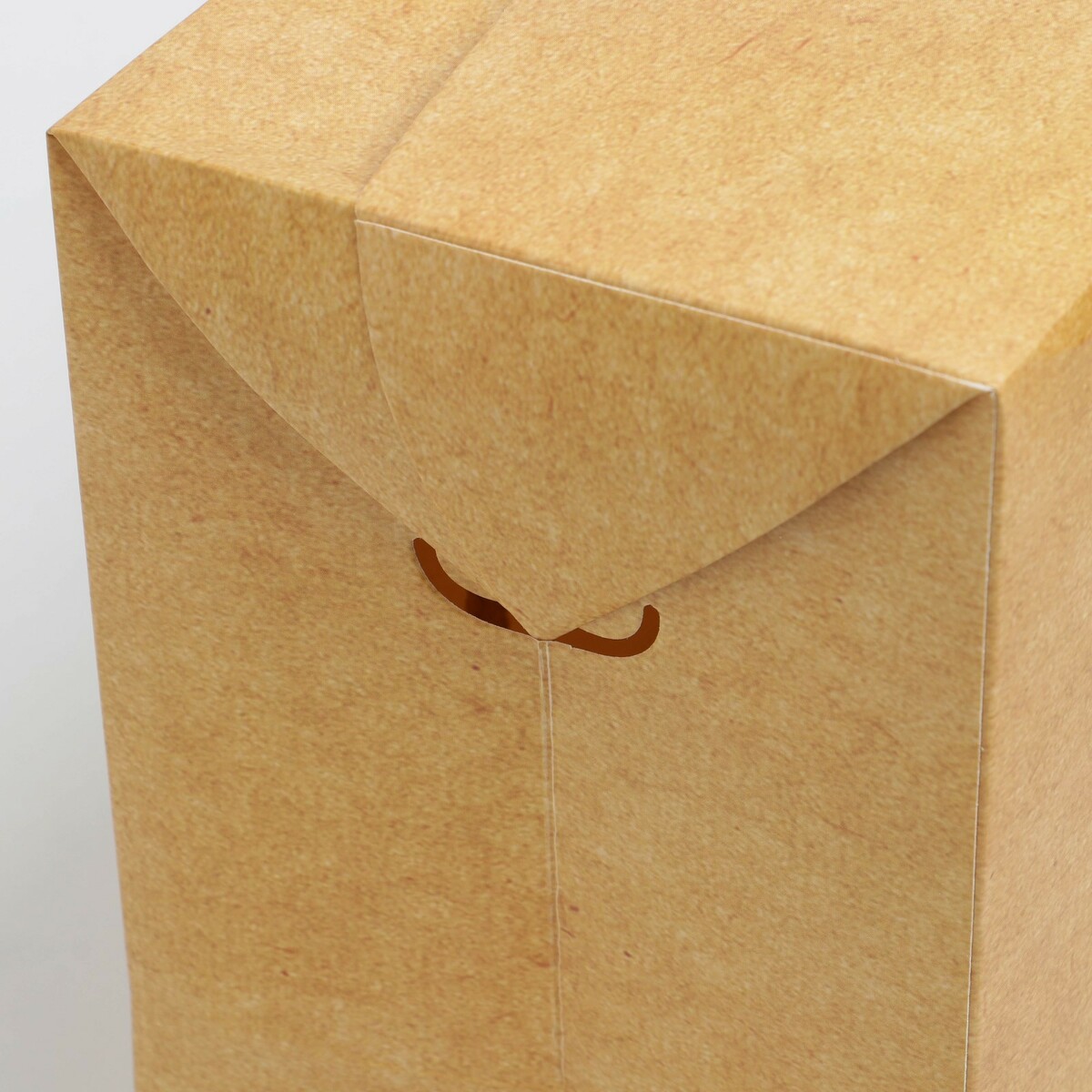 

Пакет—коробка, Бежевый