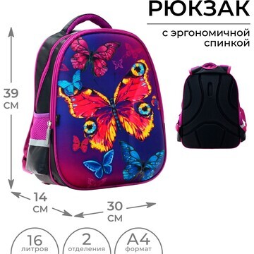 Рюкзак каркасный школьный calligrata