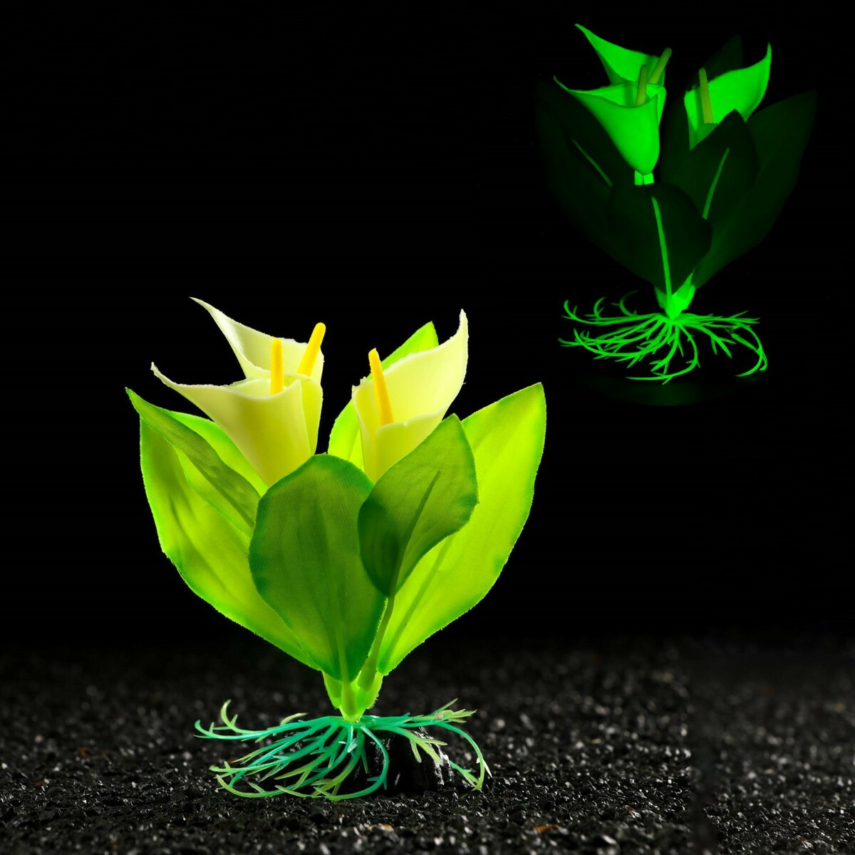 Цветок аква. Искусственные аквариумные растения. Светящиеся в темноте искусственные растения. Зеленое растение в горшке. Зеленое растение в горшке живое.