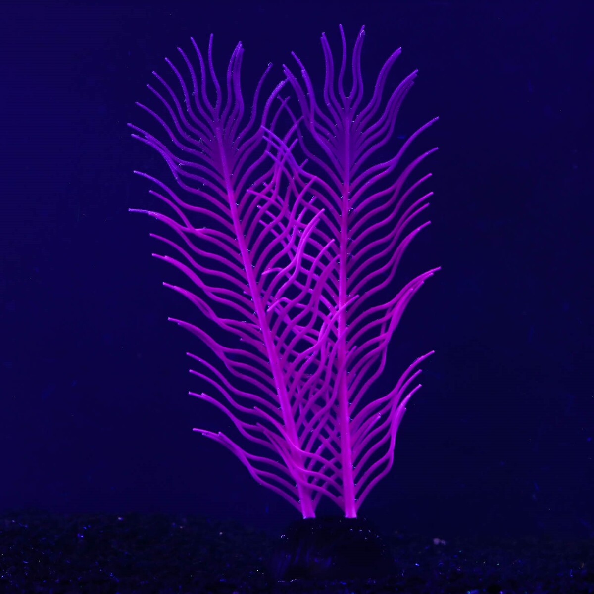 Растение силиконовое аквариумное, светящееся в темноте, 6,5 х 18 см, фиолетовое No brand 01076247 - фото 2