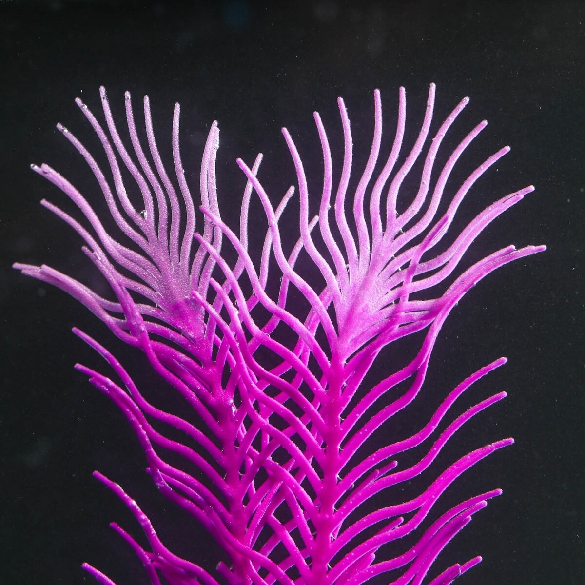 Растение силиконовое аквариумное, светящееся в темноте, 6,5 х 18 см, фиолетовое No brand 01076247 - фото 3