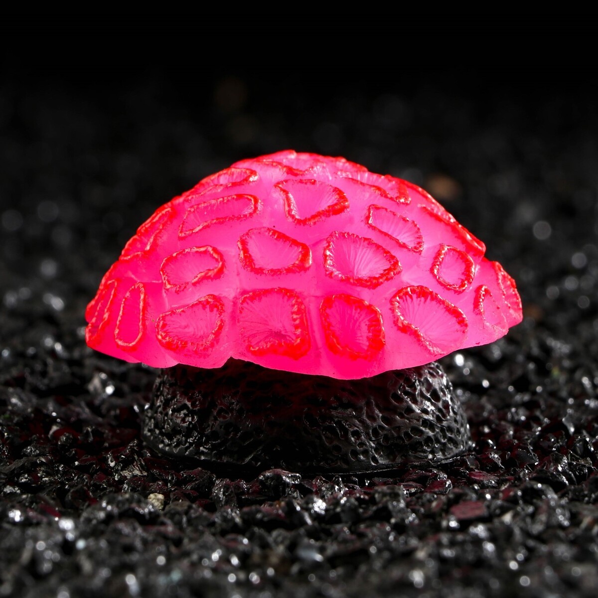 Декор для аквариума коралл faviidae, 5 х 2,5 см, силиконовый, розовый велосипедный замок author acl 77 тросовый кодовый 12 х 600 мм силиконовый розовый 8 17062014