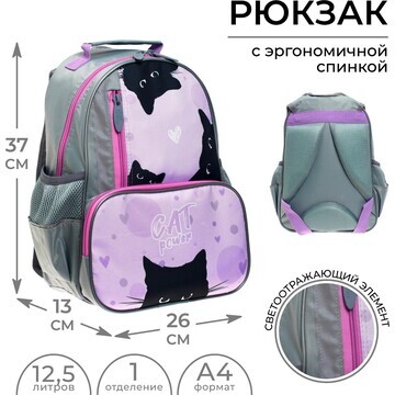 Рюкзак школьный, 37 х 26 х 13 см, эргоно