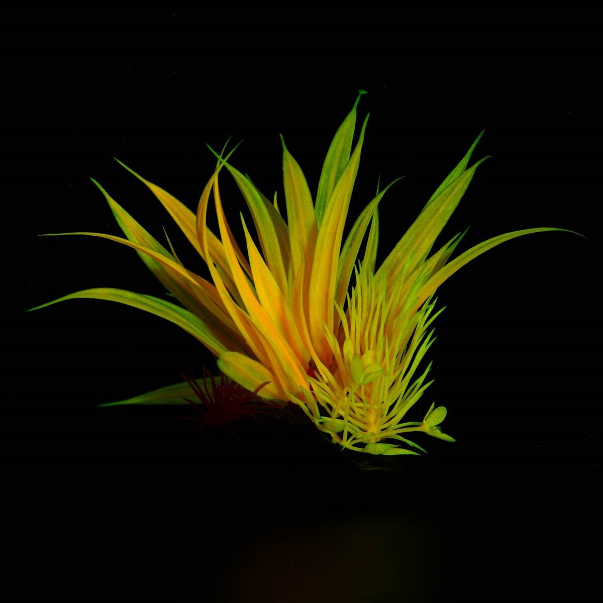 Растение искусственное аквариумное, светящееся, 10 см, красное Пижон Аква 01123462 - фото 5