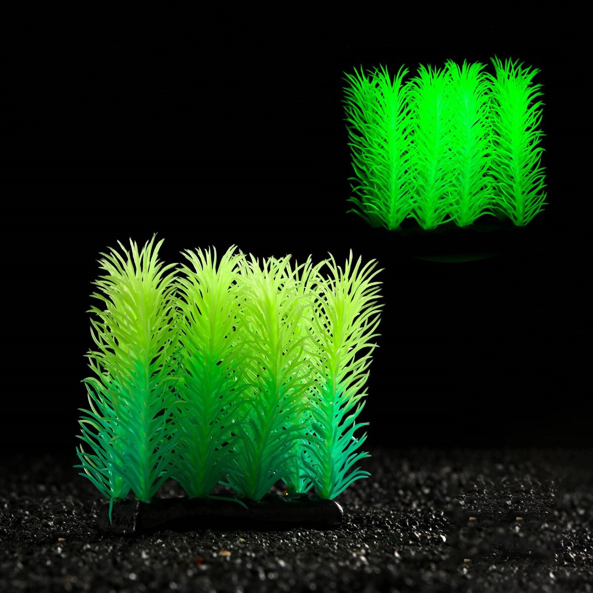 Растение искусственное аквариумное, светящееся, 5 см, зеленое растение силиконовое аквариумное светящееся в темноте 8 х 15 см зеленое