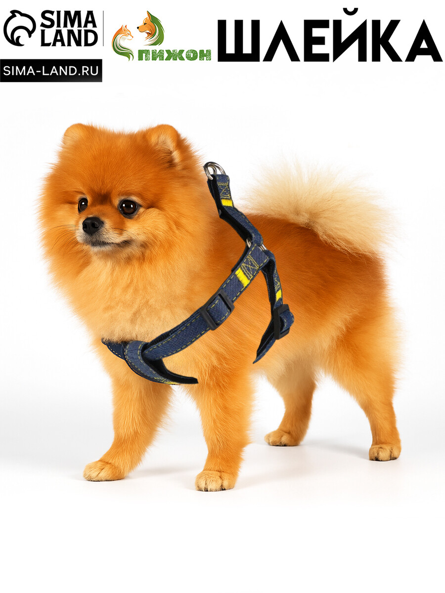 

Шлейка, Черный