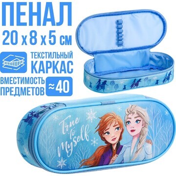 Пенал-футляр Disney