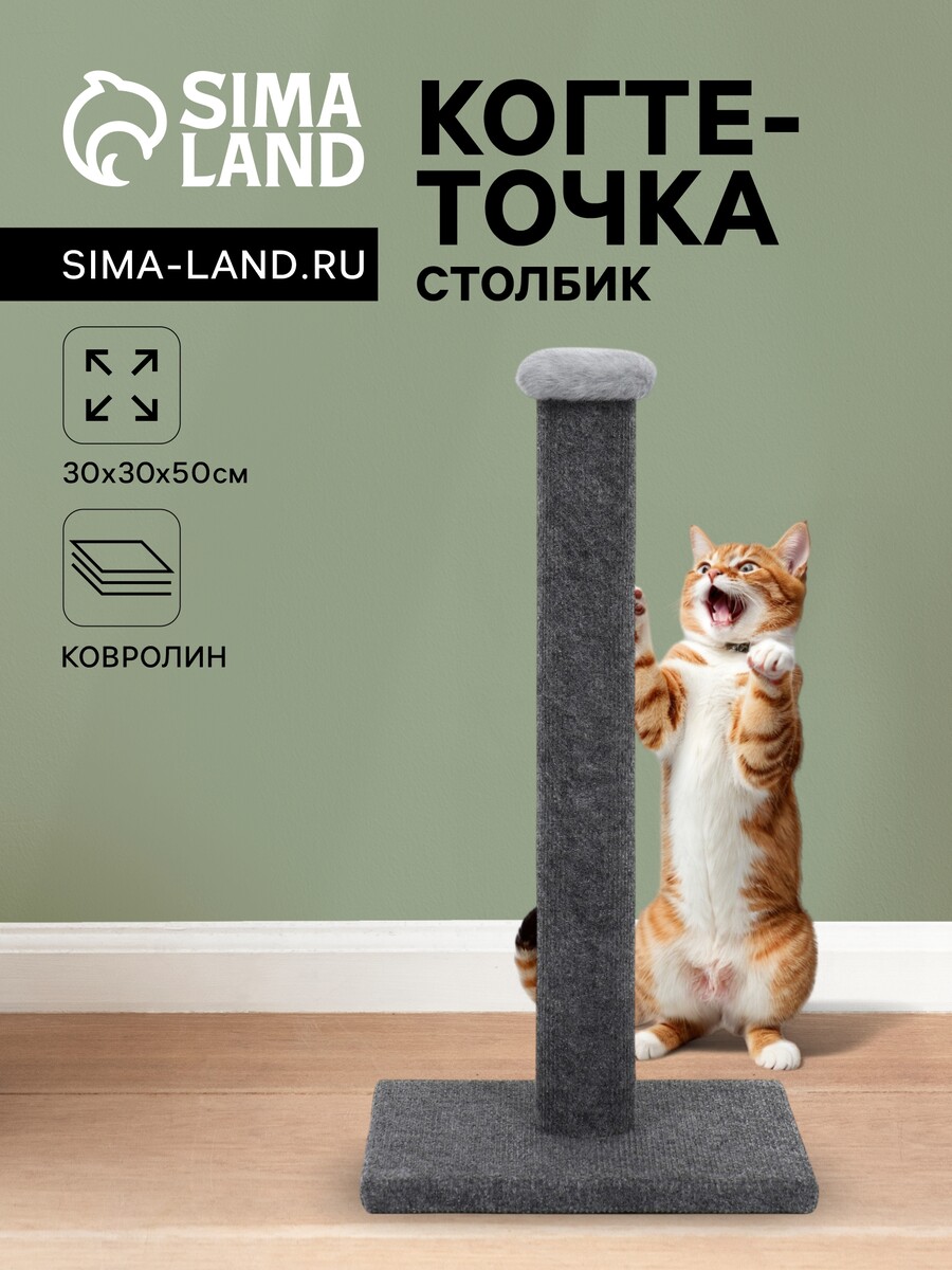 

Когтеточка-столбик, Серый