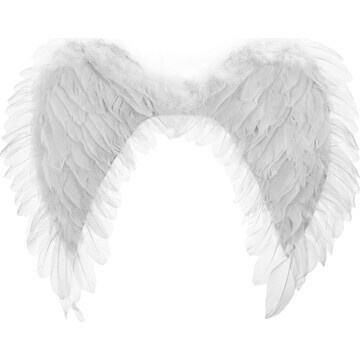 Крылья ангела, 40 × 60 см, цвет белый