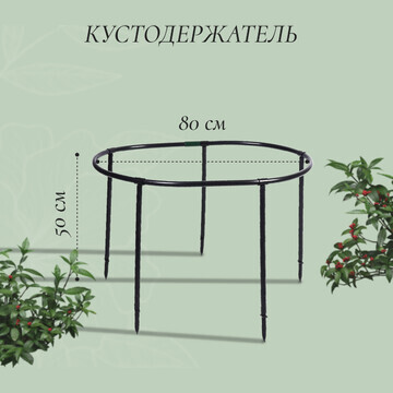 Кустодержатель, d = 80 см, h = 50 см, но