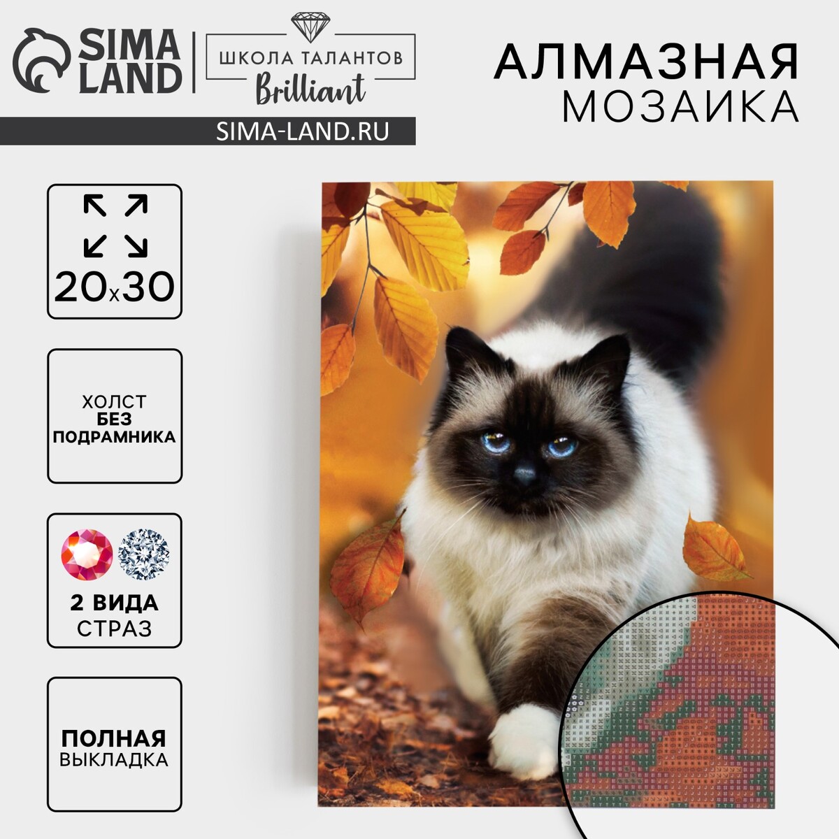 

Алмазная мозаика с полным заполнением на холсте, Разноцветный