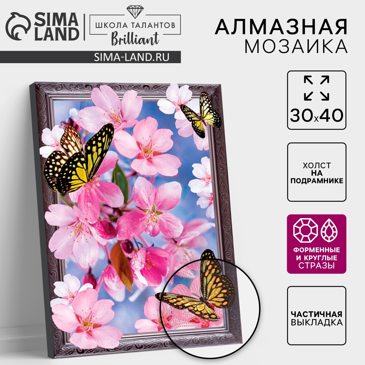 

Алмазная мозаика с частичным заполнением и форменными стразами на раме, Разноцветный