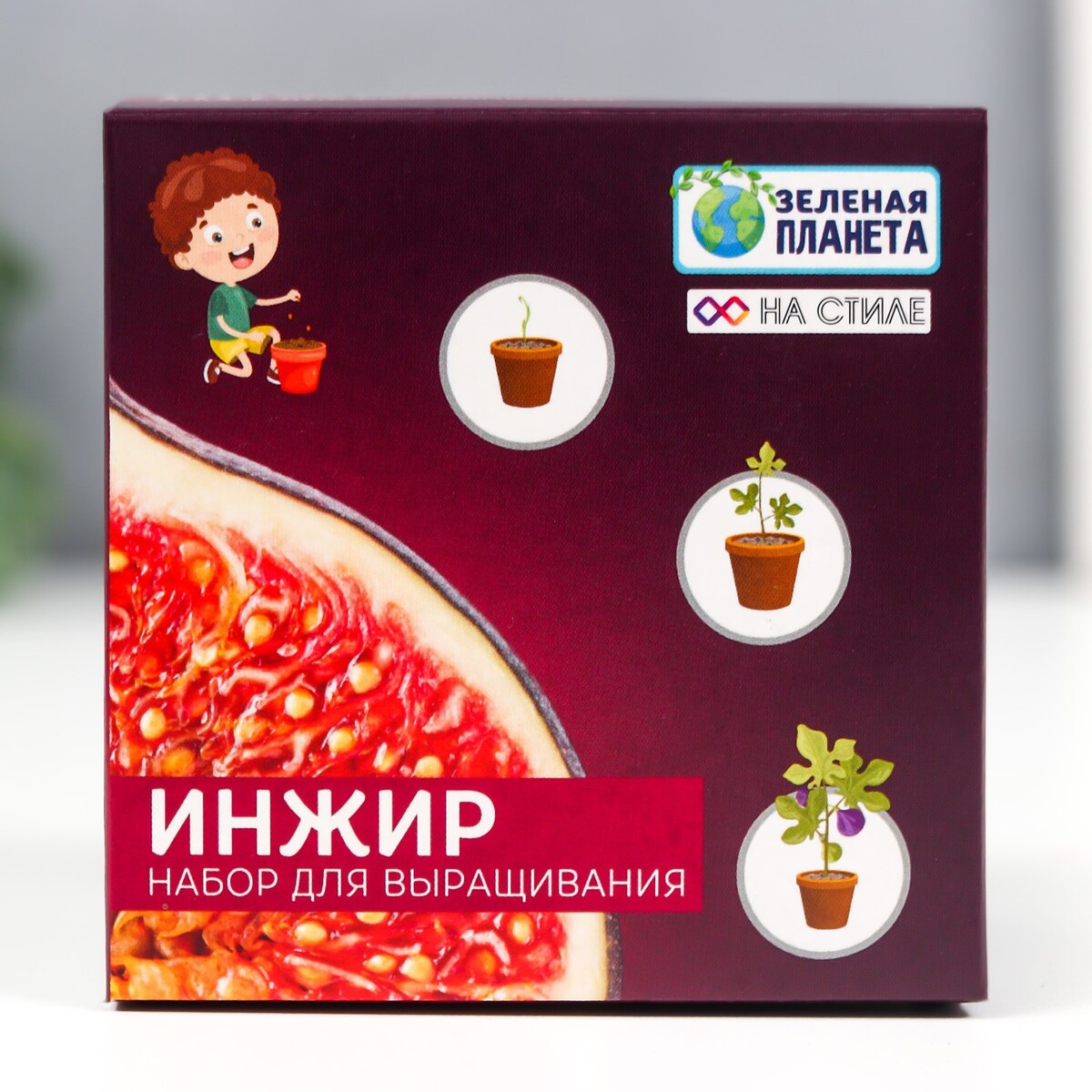 

Набор для выращивания с глиняным горшочком (инжир)