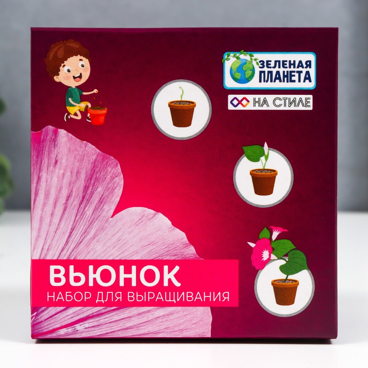 

Набор для выращивания с глиняным горшочком (вьюнок)