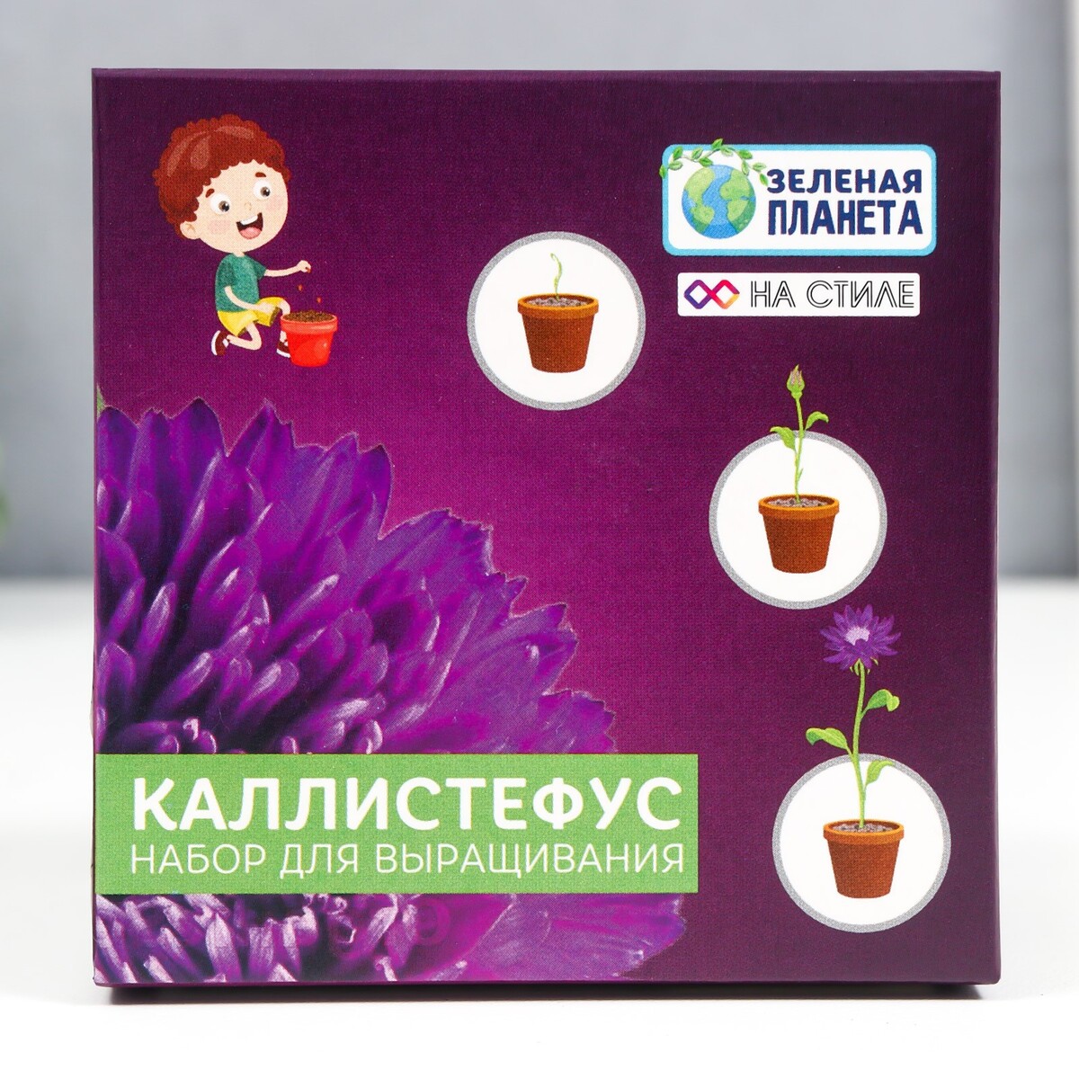 

Набор для выращивания с глиняным горшочком (каллистефус китайский)