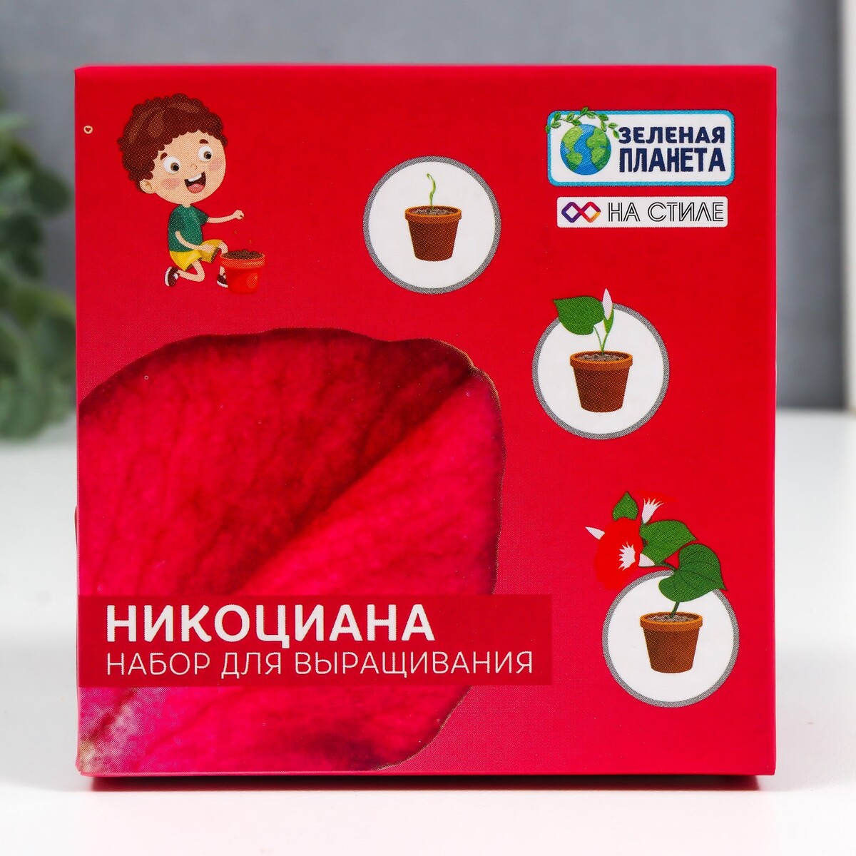 

Набор для выращивания с глиняным горшочком (никоциана)