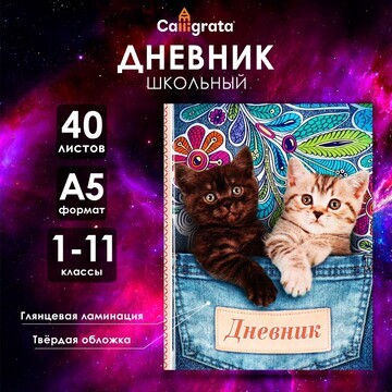 Дневник универсальный для 1-11 классов,