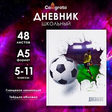 Дневник для 5-11 классов,