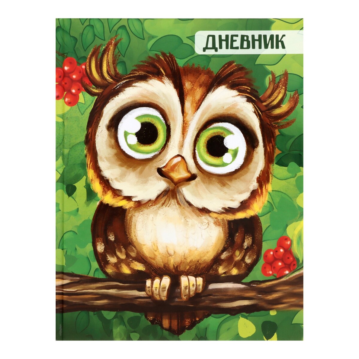

Дневник для 1-4 классов,, Разноцветный