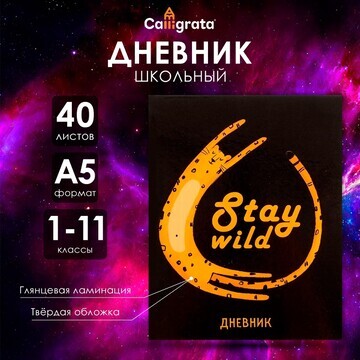 Дневник универсальный для 1-11 классов,