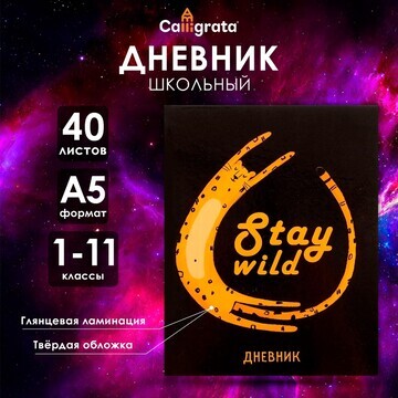 Дневник универсальный для 1-11 классов,