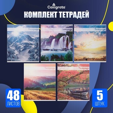 Комплект тетрадей из 5 штук (4 разные + 