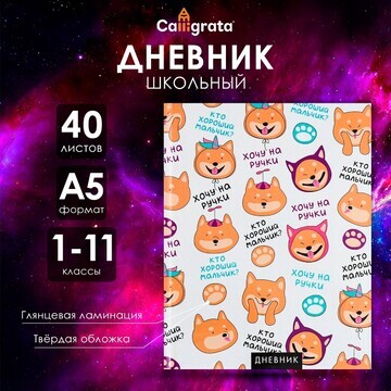 Дневник универсальный для 1-11 классов,