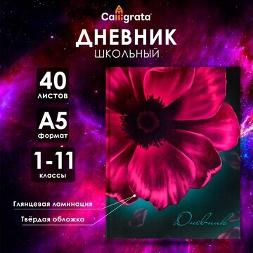 Дневник универсальный для 1-11 классов,