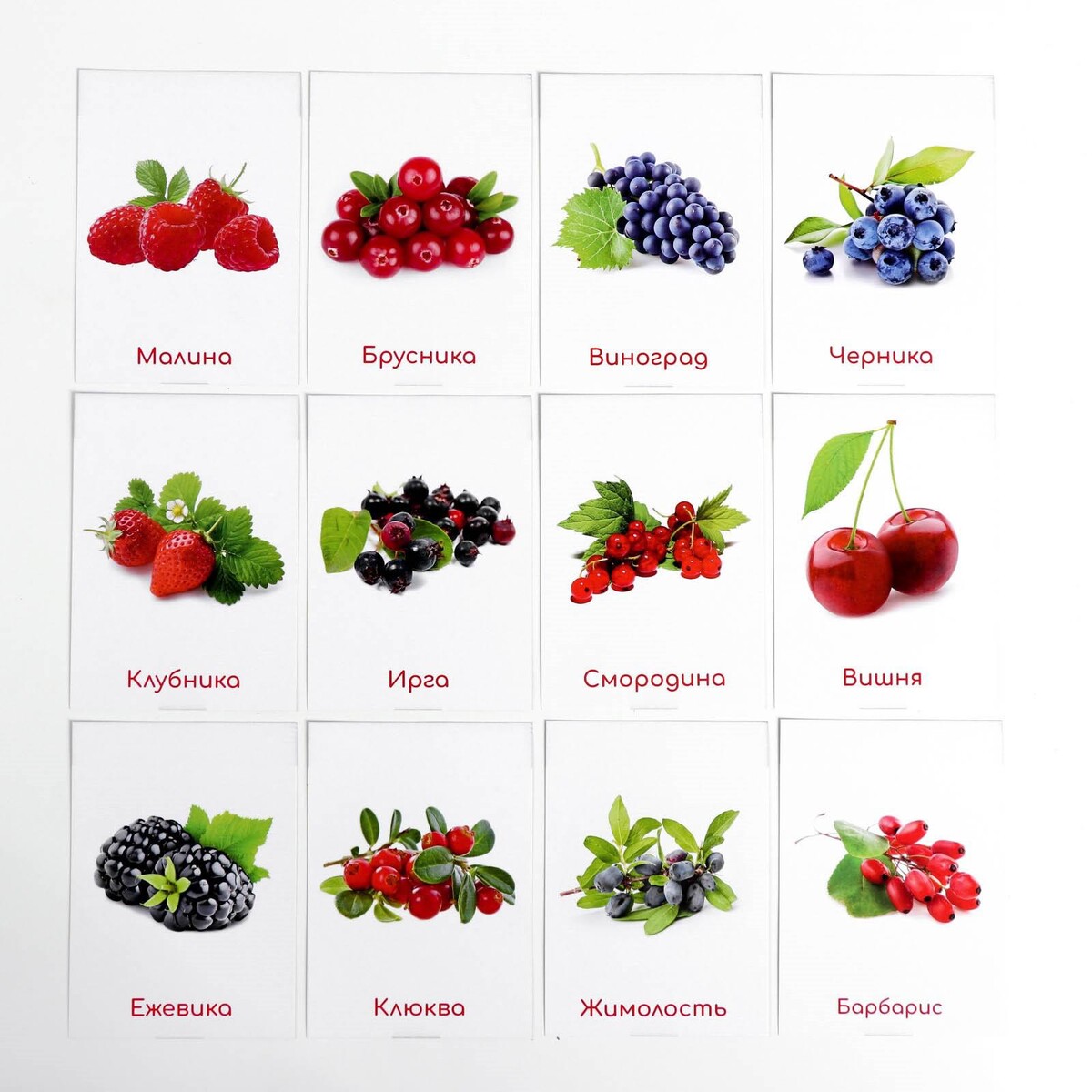 ягоды картинки для детей с названиями карточки