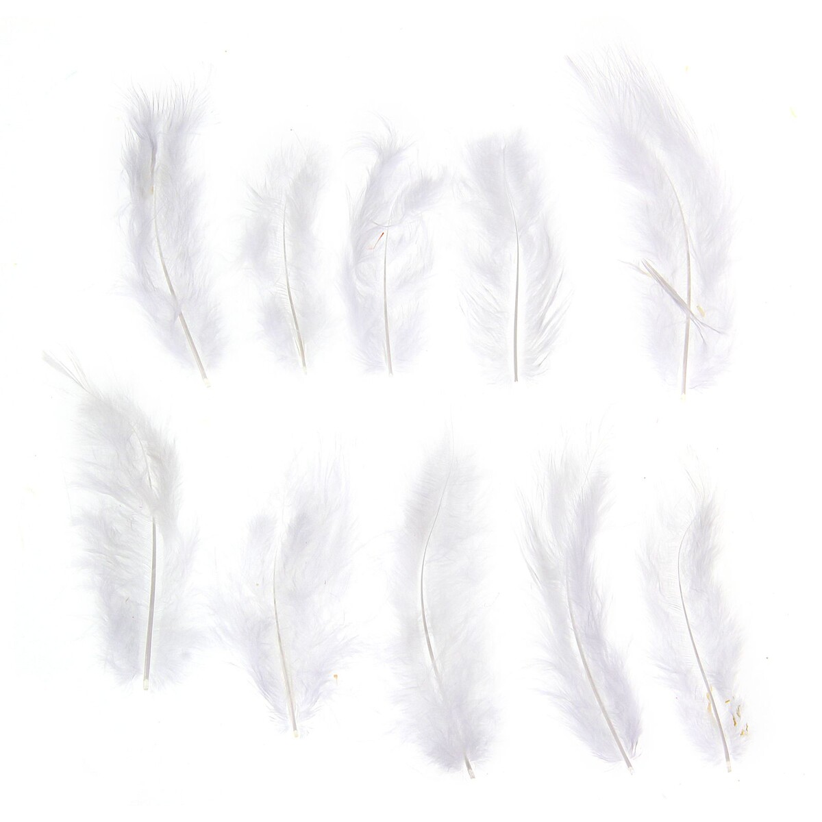 Набор перьев для декора 10 шт., размер 1 шт: 10 × 2 см, цвет белый перо для декора длина от 45 до 60 см белый