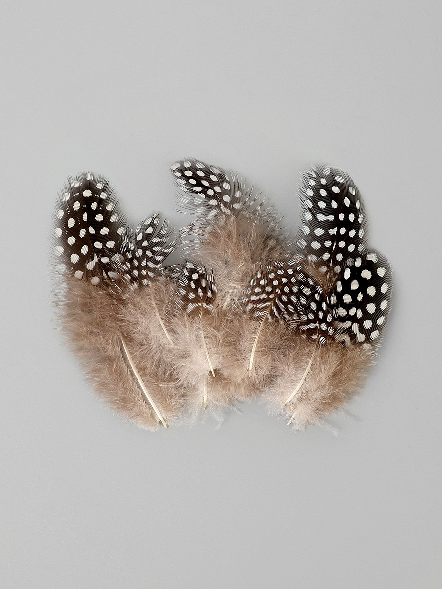 

Набор перьев для декора 10 шт., размер 1 шт.: 5×2 см, коричневый с белым, Серый