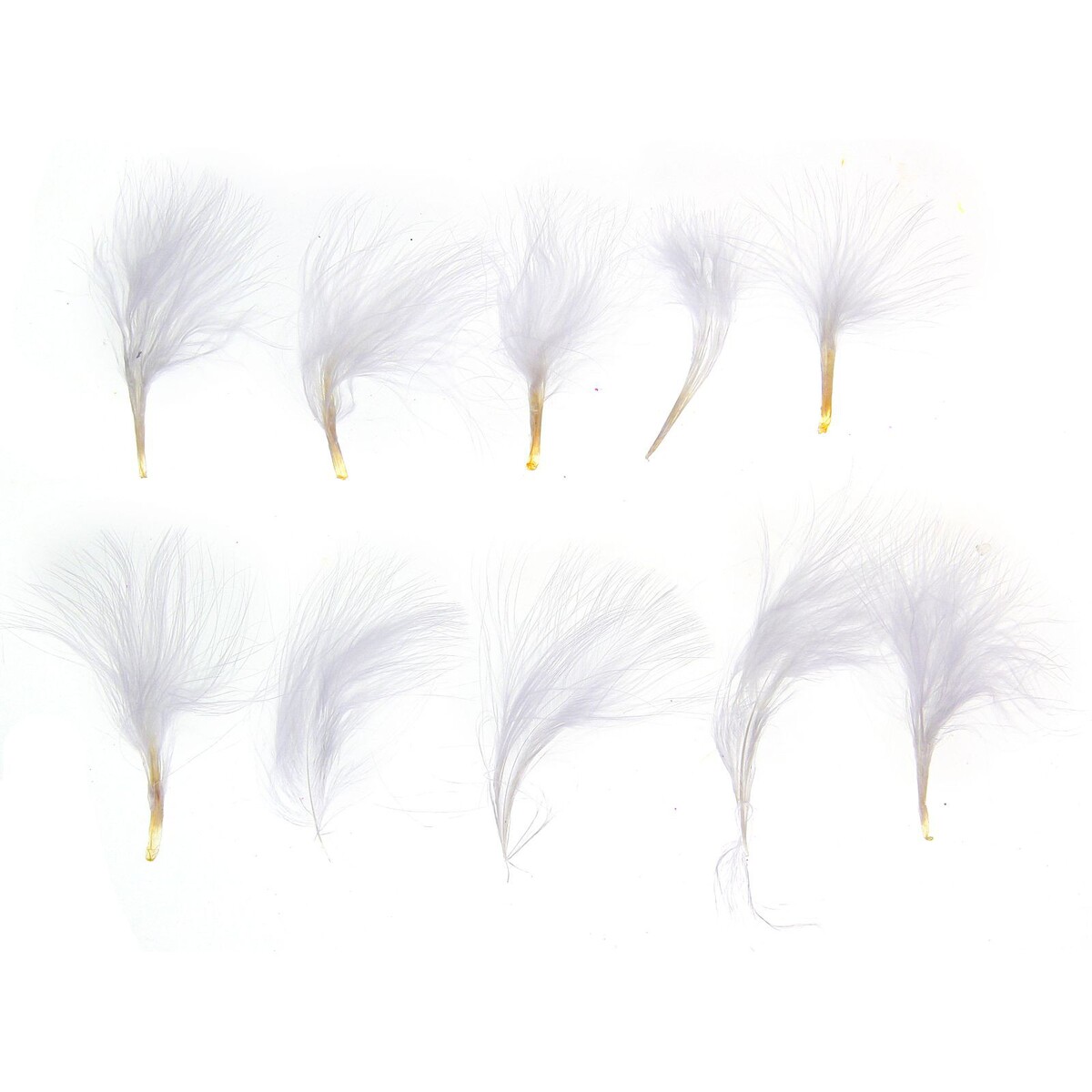 Набор перьев для декора 10 шт., размер 1 шт: 7 × 7 см, цвет белый перо страуса премиум 40 45 см белый