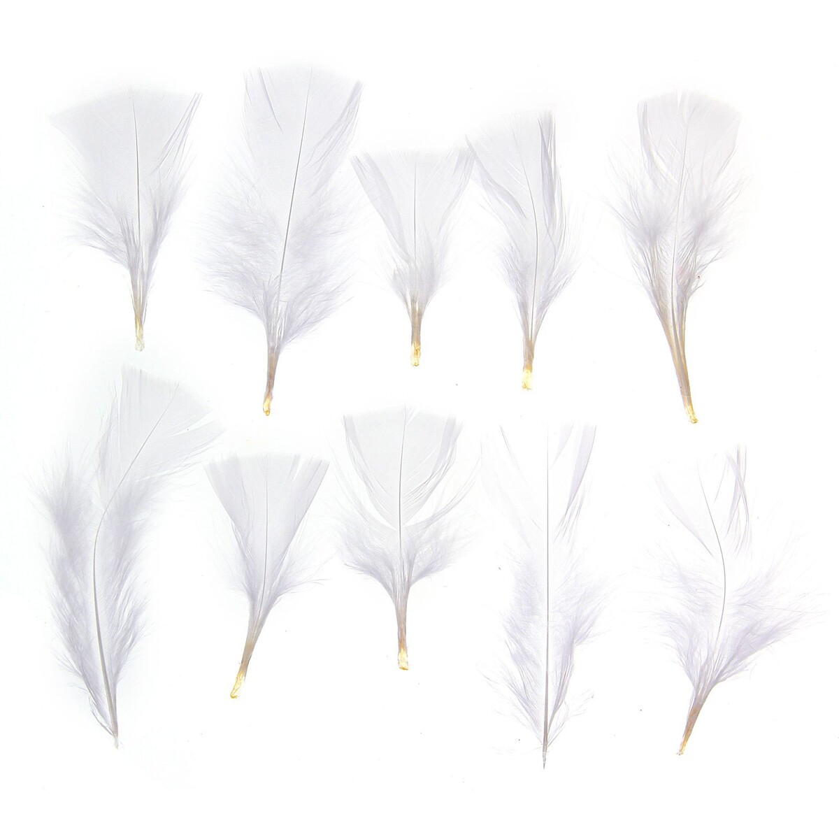 Набор перьев для декора 10 шт., размер 1 шт: 10 × 4 см, цвет белый перо страуса премиум 40 45 см белый