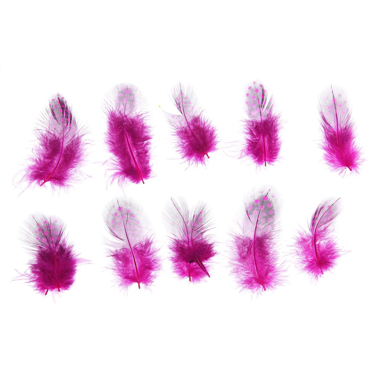 Набор перьев для декора 10 шт., размер 1 шт: 5 × 2 см, цвет розовый с черным